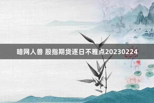 暗网人兽 股指期货逐日不雅点20230224