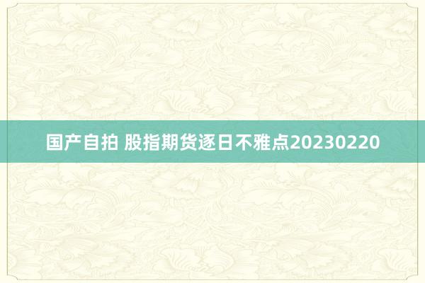 国产自拍 股指期货逐日不雅点20230220