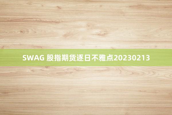 SWAG 股指期货逐日不雅点20230213