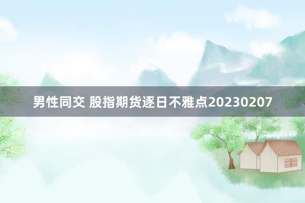 男性同交 股指期货逐日不雅点20230207