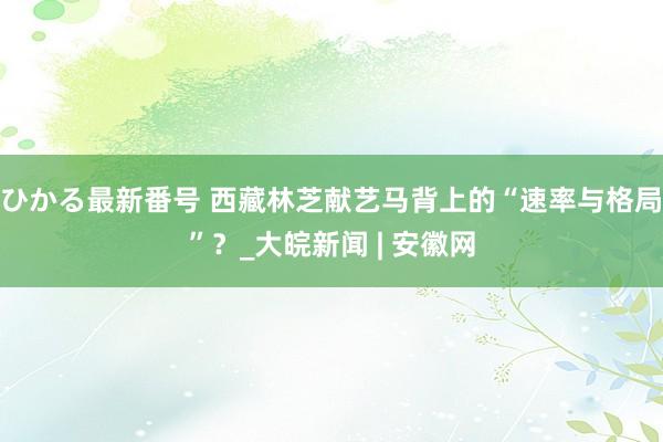 ひかる最新番号 西藏林芝献艺马背上的“速率与格局”？_大皖新闻 | 安徽网