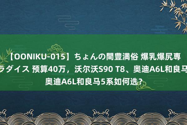 【OONIKU-015】ちょんの間豊満俗 爆乳爆尻専門の肉欲パラダイス 预算40万，沃尔沃S90 T8、奥迪A6L和良马5系如何选？