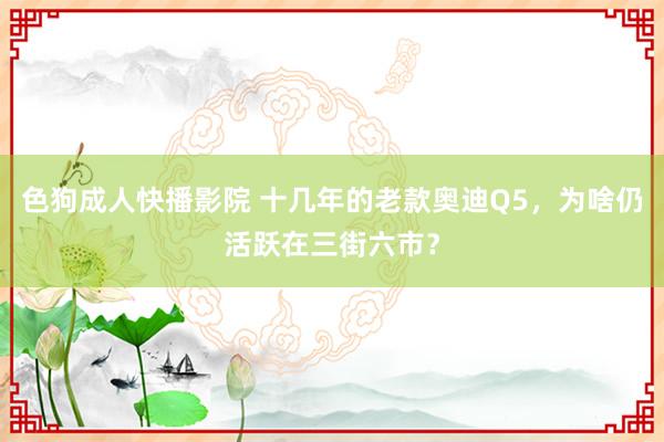 色狗成人快播影院 十几年的老款奥迪Q5，为啥仍活跃在三街六市？