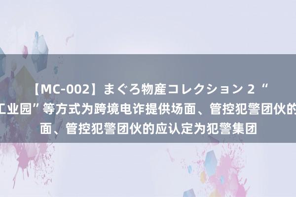 【MC-002】まぐろ物産コレクション 2 “两高一部”：以“工业园”等方式为跨境电诈提供场面、管控犯警团伙的应认定为犯警集团