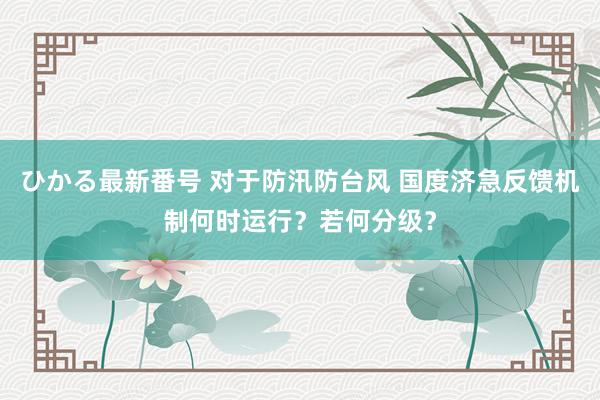 ひかる最新番号 对于防汛防台风 国度济急反馈机制何时运行？若何分级？