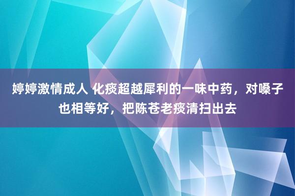 婷婷激情成人 化痰超越犀利的一味中药，对嗓子也相等好，把陈苍老痰清扫出去