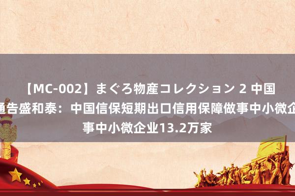 【MC-002】まぐろ物産コレクション 2 中国信保党委副通告盛和泰：中国信保短期出口信用保障做事中小微企业13.2万家