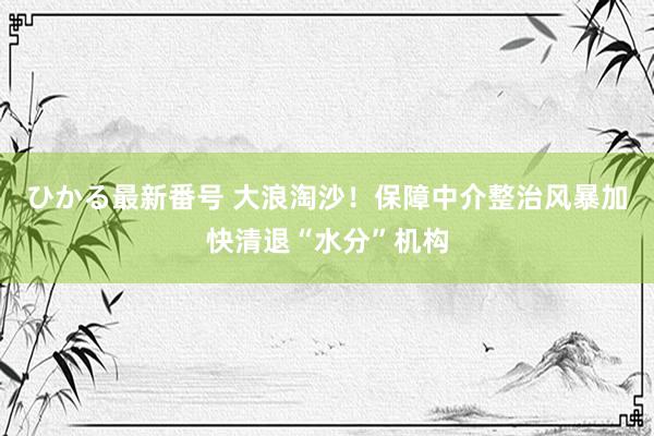 ひかる最新番号 大浪淘沙！保障中介整治风暴加快清退“水分”机构