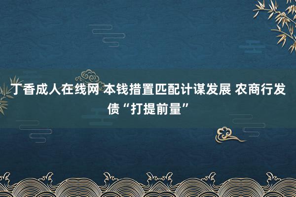 丁香成人在线网 本钱措置匹配计谋发展 农商行发债“打提前量”