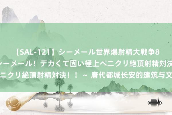 【SAL-121】シーメール世界爆射精大戦争8時間 ～国内＆金髪S級シーメール！デカくて固い極上ペニクリ絶頂射精対決！！～ 唐代都城长安的建筑与文化特色