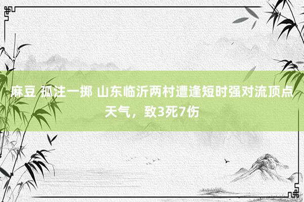 麻豆 孤注一掷 山东临沂两村遭逢短时强对流顶点天气，致3死7伤