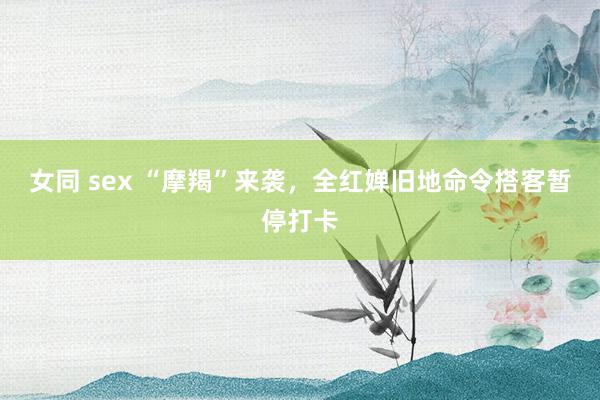 女同 sex “摩羯”来袭，全红婵旧地命令搭客暂停打卡