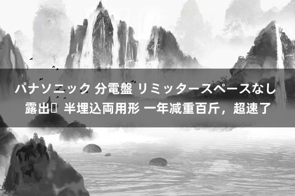 パナソニック 分電盤 リミッタースペースなし 露出・半埋込両用形 一年减重百斤，超速了