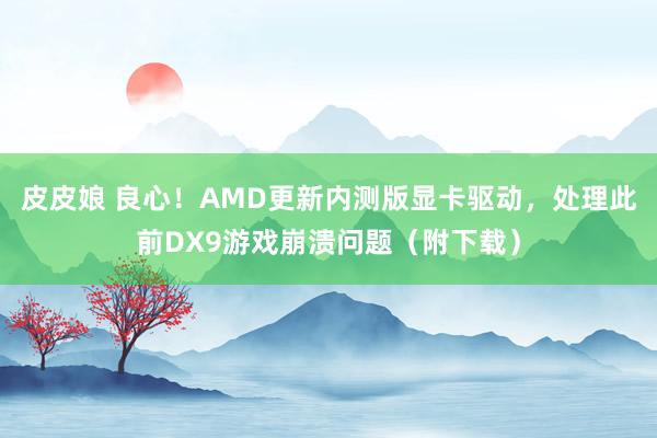 皮皮娘 良心！AMD更新内测版显卡驱动，处理此前DX9游戏崩溃问题（附下载）